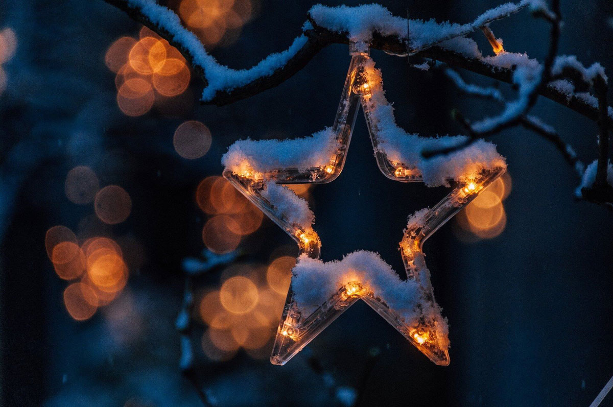 树上的闪亮星星和雪